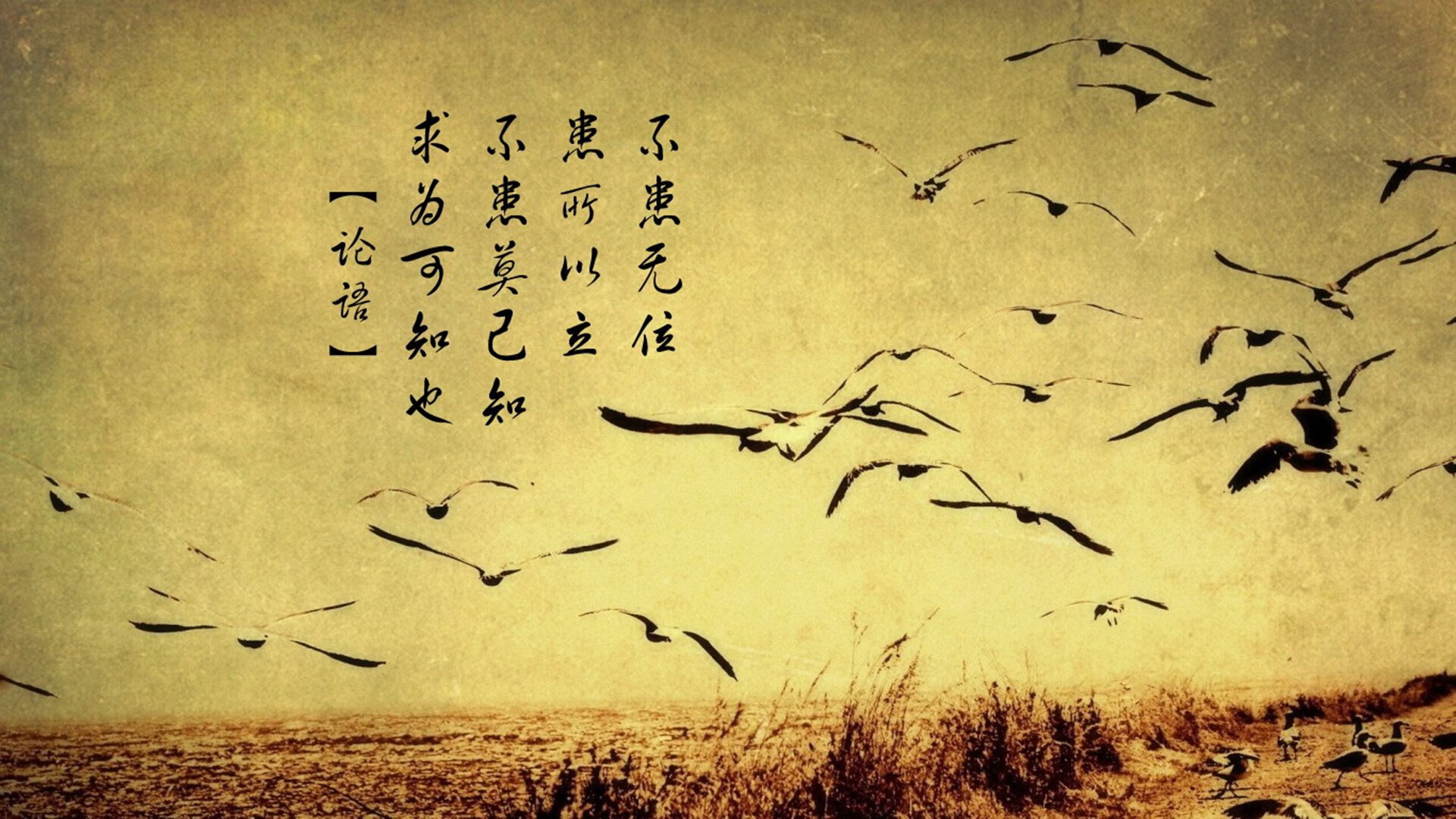 开云·体育官网-巴黎篮网篮球队表现稳健，巴黎篮球场