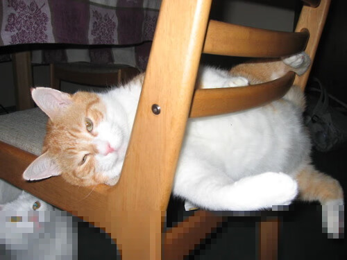 开云官方-湖人三连胜后队内气氛轻松愉快，湖人3连败