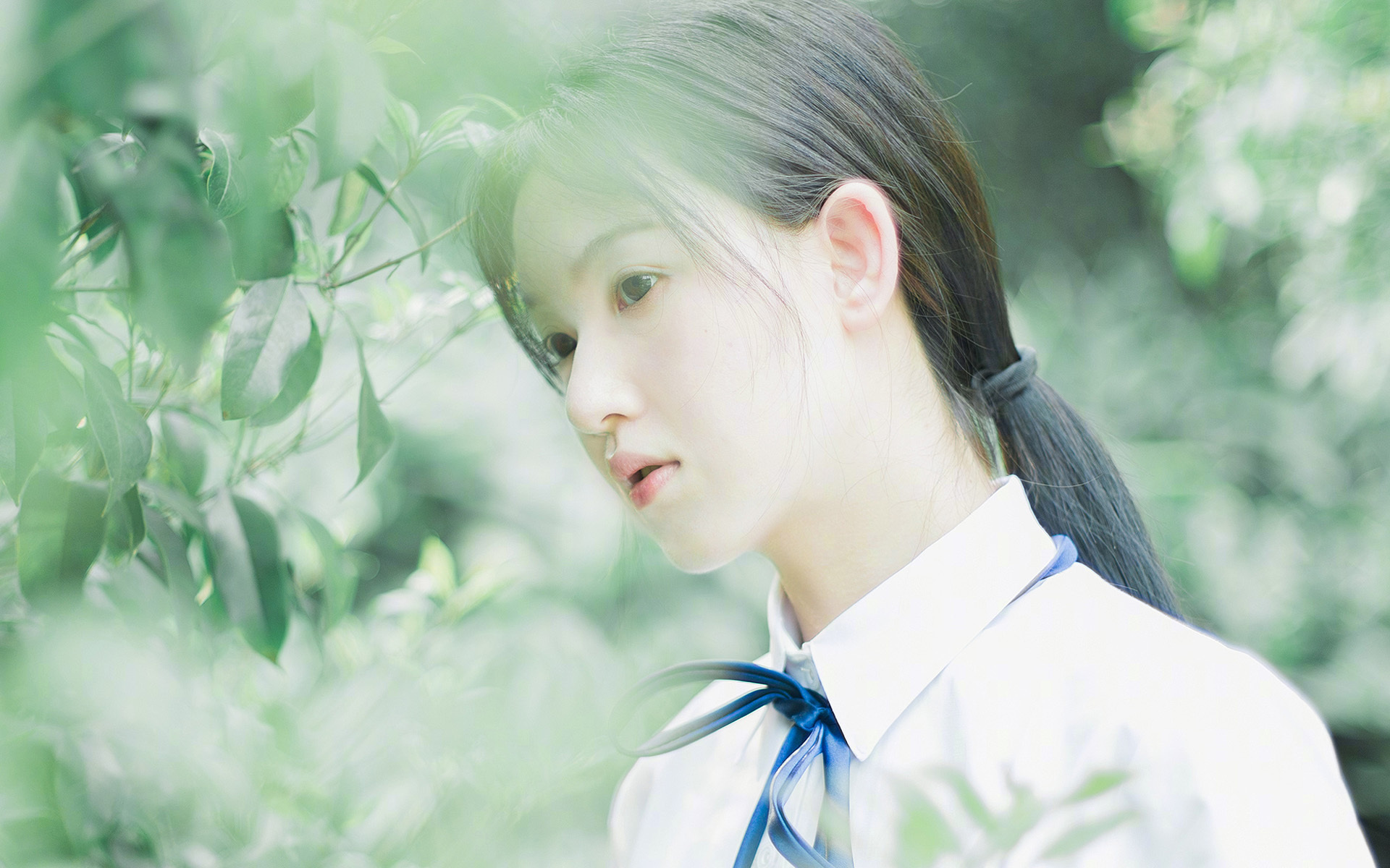 澳大利亚橄榄球青训体系的全球化进程进一步加速,澳大利亚橄榄球队