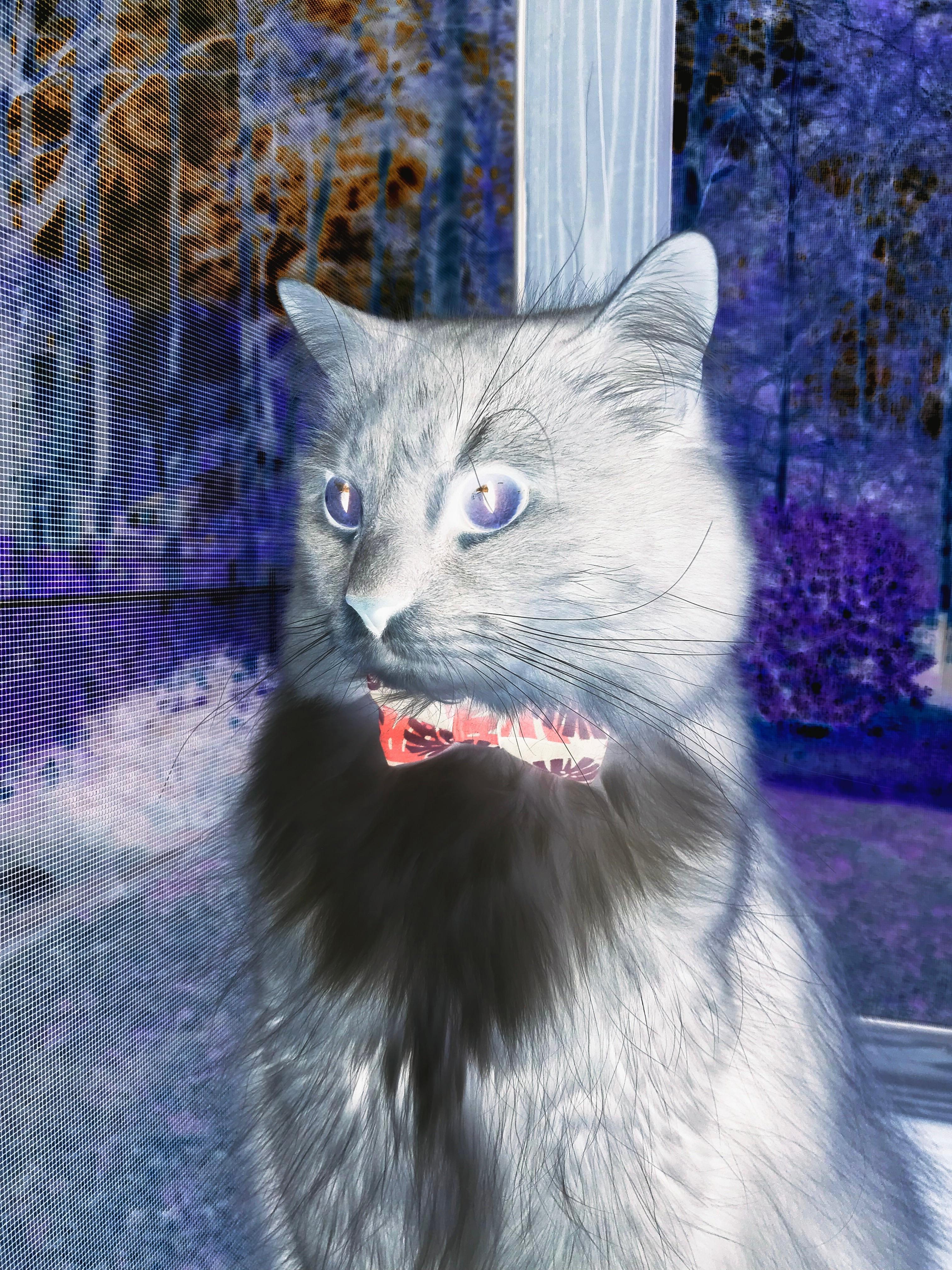 kaiyun体育综合-詹姆斯赛前与队友击掌传递信心，詹姆斯开场和队友击掌