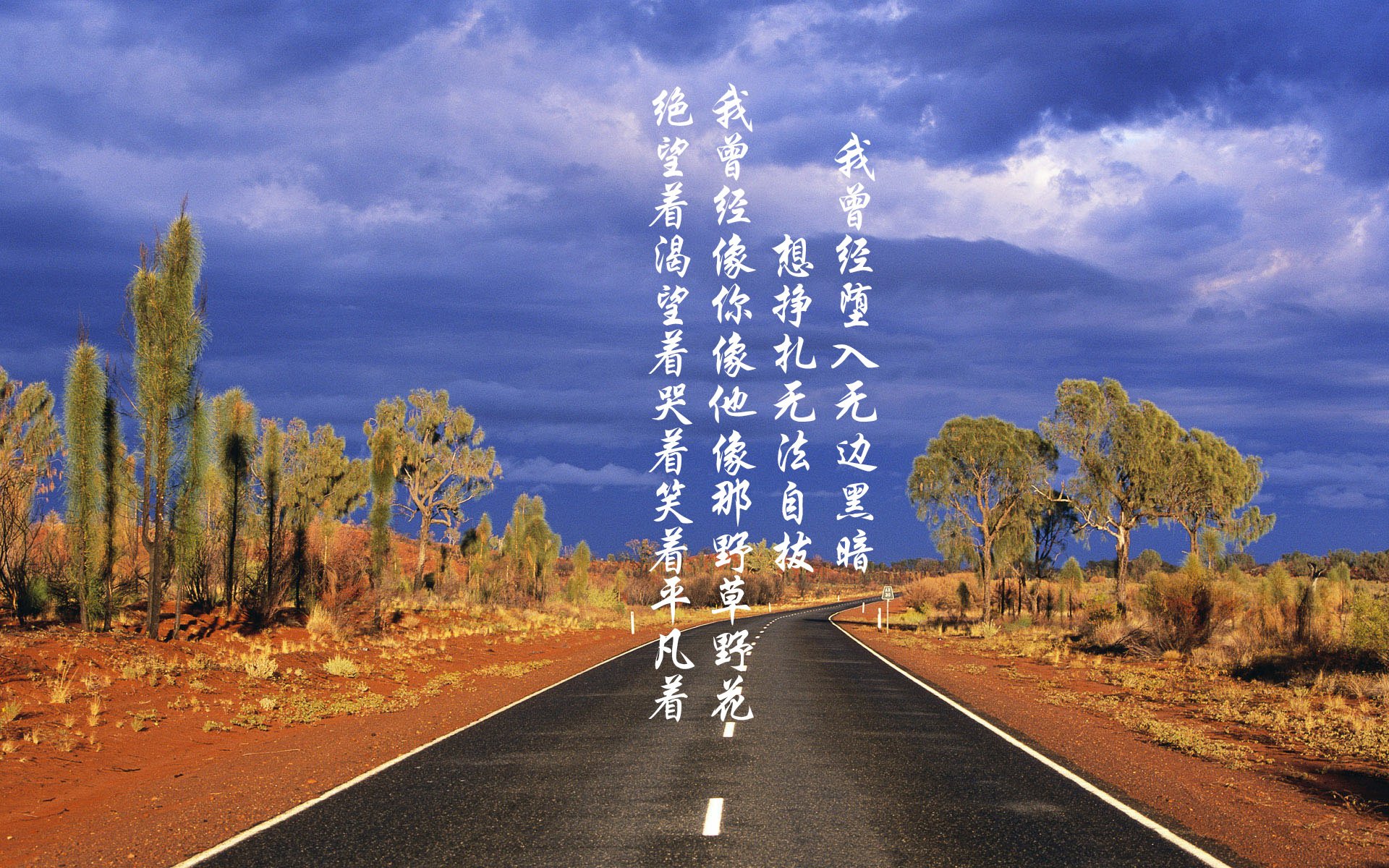 赛尔·阿尔斯塔:精准的抢断和无畏的防守为南非队立下赫赫战功