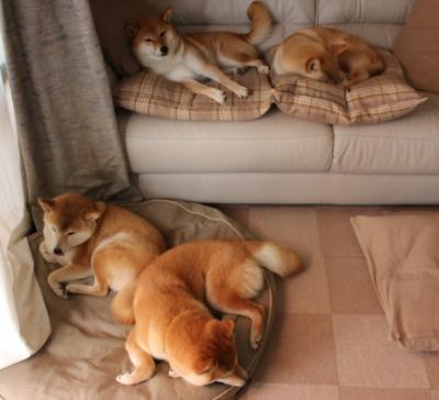 开云体育中国官网-苏炳添被聘为国家体育顾问委员会成员，苏炳添被聘为国家体育顾问委员会成员了吗