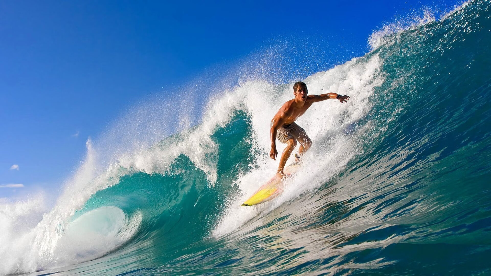 麦金托什刷新个人800米自由泳最佳成绩,加拿大游泳运动员麦金托什